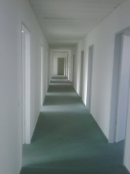 buro.JPG