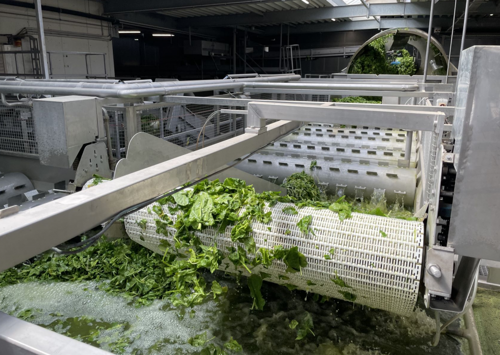 In einer Fabrik in Bobenheim-Roxheim wäscht und verarbeitet eine Maschine FRoSTA-Blattgemüse wie Spinat über einem Wassertank.