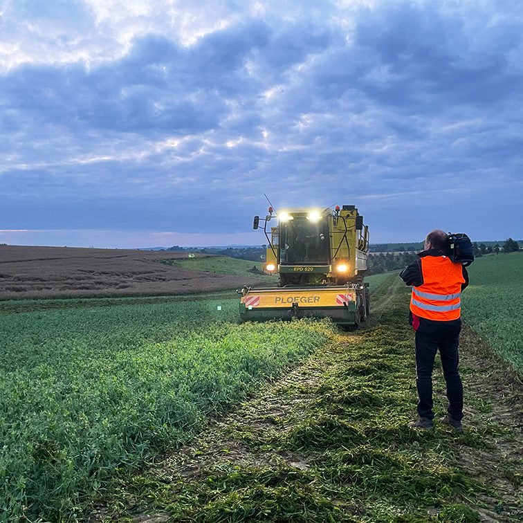 Eine Person in einer leuchtend orangefarbenen Warnweste filmt in der Dämmerung unter Wolken einen großen gelben Mähdrescher auf einem grünen Feld – und denkt dabei an FRoSTA Tiefkühlprodukten.