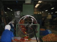 Siebtrommel zum Abtrennen der Kerne